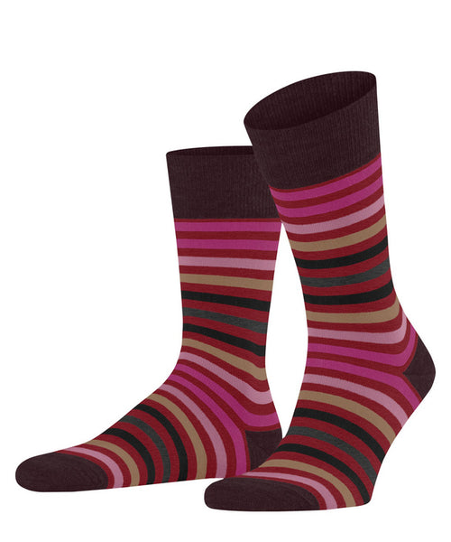 Falke Mens Tinted Stripe Socks - Ingle Red