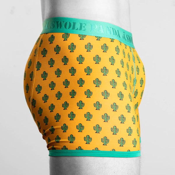 Swole Panda Bamboo Cactus Boxers