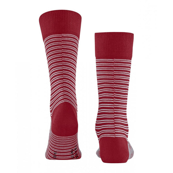Falke Men Special Edition Family Sock - Scarlet