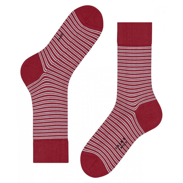 Falke Men Special Edition Family Sock - Scarlet