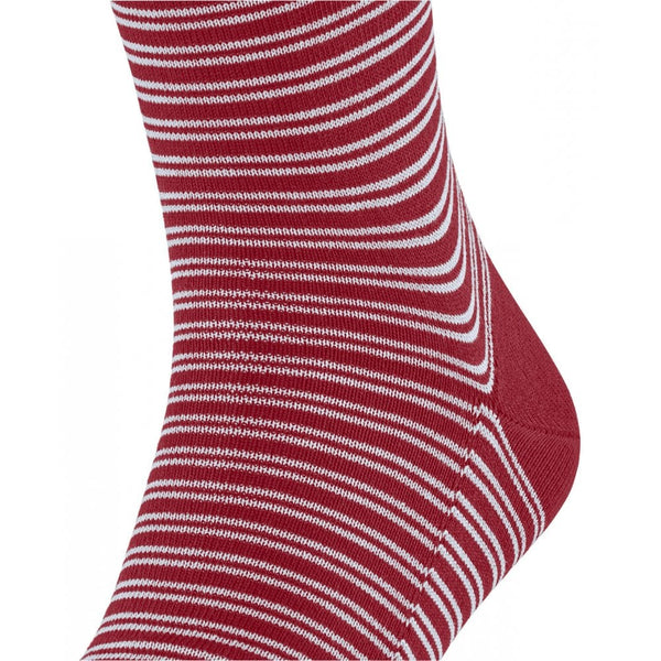 Falke Men Special Edition Family Sock - Scarlet