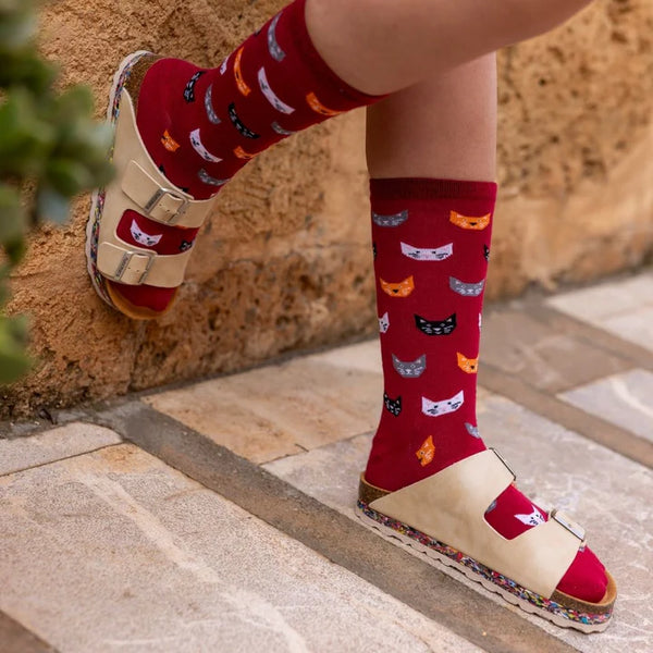 Swole Panda Cat Socks - Red