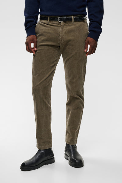 Matinique Maparker Cord Pant - Silver Sage (Olive)