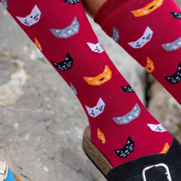 Swole Panda Cat Socks - Red