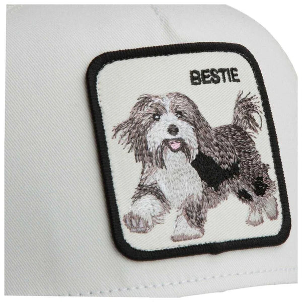 Goorin Bros. Bestie Trucker Cap - Dust