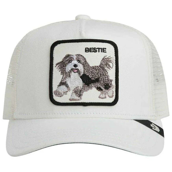 Goorin Bros. Bestie Trucker Cap - Dust