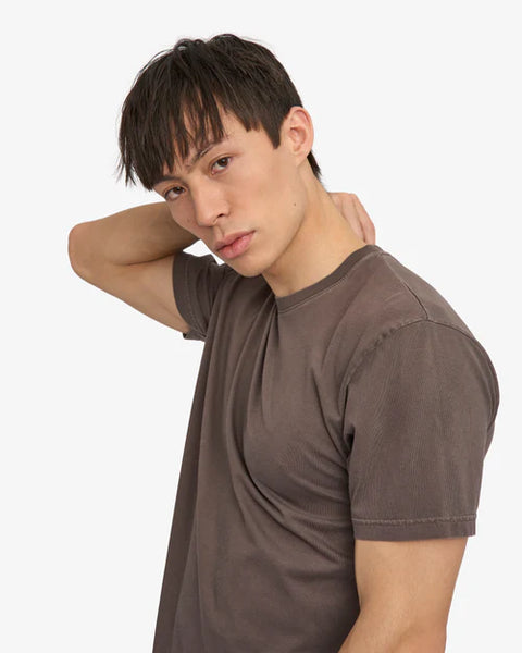 Colorful Standard Classic Organic Cotton Mens Tee - Faded Mud