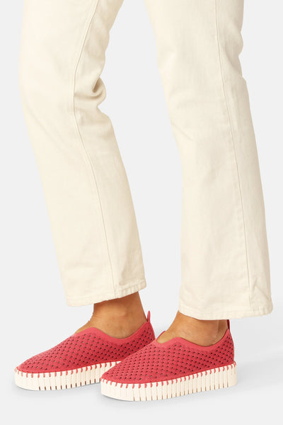 Ilse Jacobsen - Tulip Platform - Baked Apple