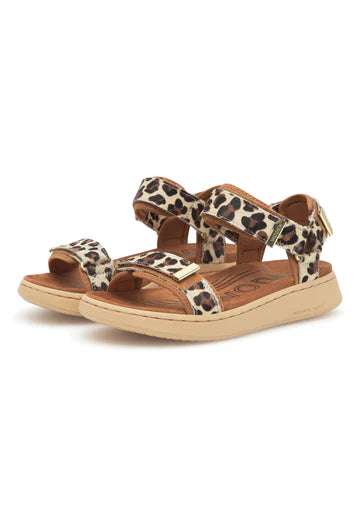 Woden - Line Animal - Leopard