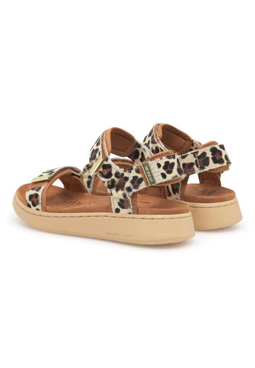 Woden - Line Animal - Leopard