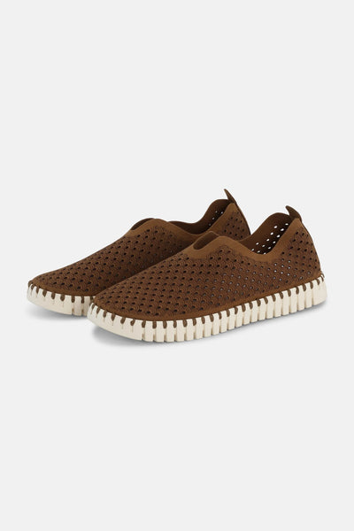 Ilse Jacobsen - Tulip Flats - Tannin