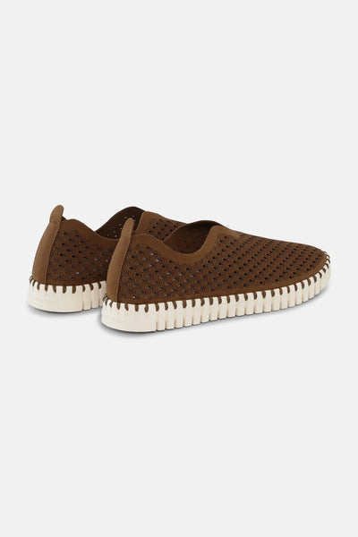 Ilse Jacobsen - Tulip Flats - Tannin