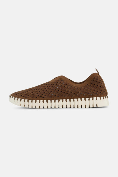 Ilse Jacobsen - Tulip Flats - Tannin