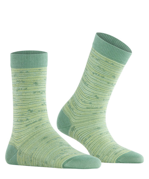 Falke - Family Special Edition Sock - Sage