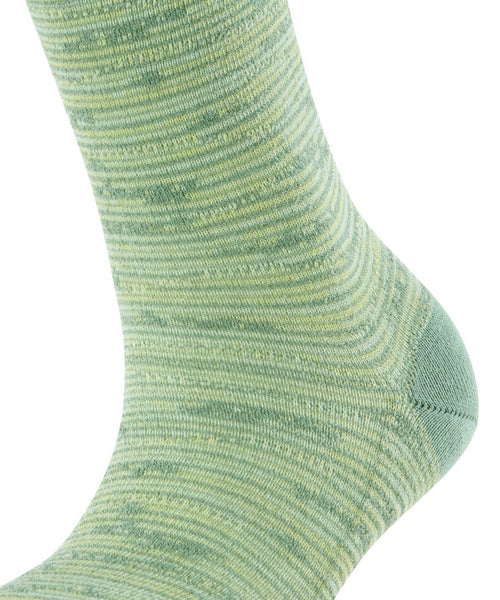 Falke - Family Special Edition Sock - Sage