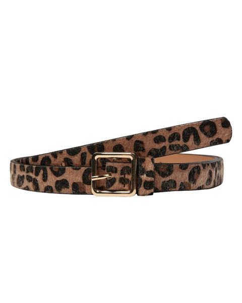 Numph - Nudasha Belt - Tigers Eye