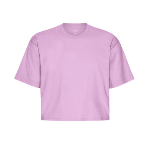 Colorful Standard Boxy Fit Organic Tee - Cherry Blossom