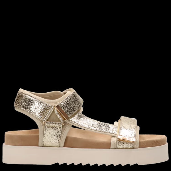 Maruti Beau Sandal - Gold