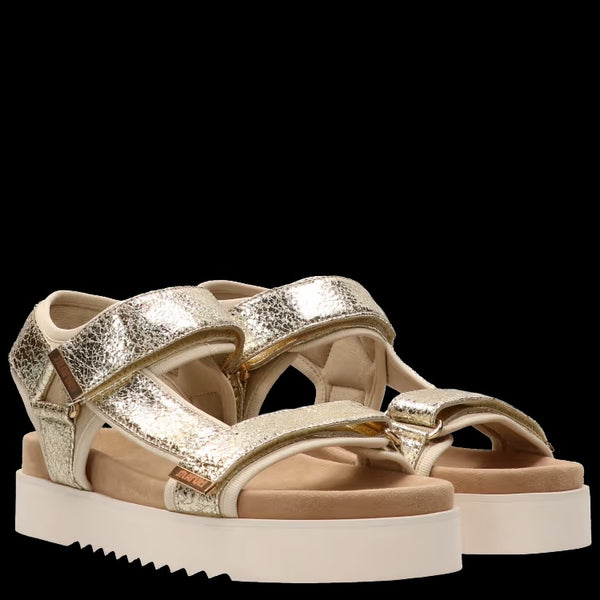 Maruti Beau Sandal - Gold