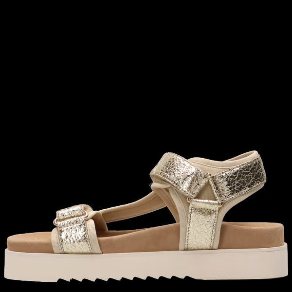 Maruti Beau Sandal - Gold