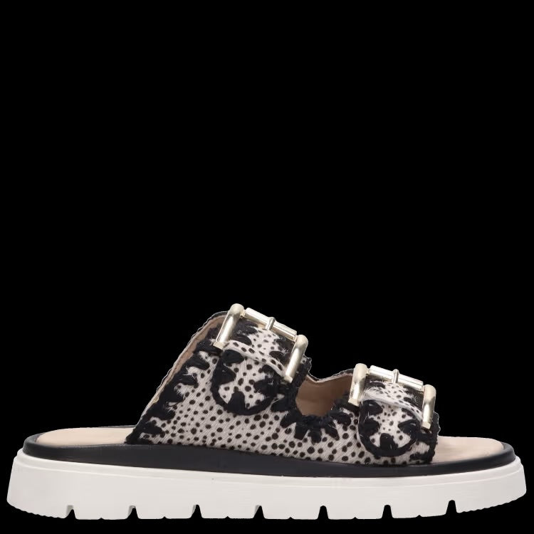 Maruti - Dilann Sandal - Heron