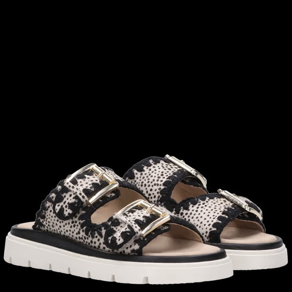 Maruti - Dilann Sandal - Heron