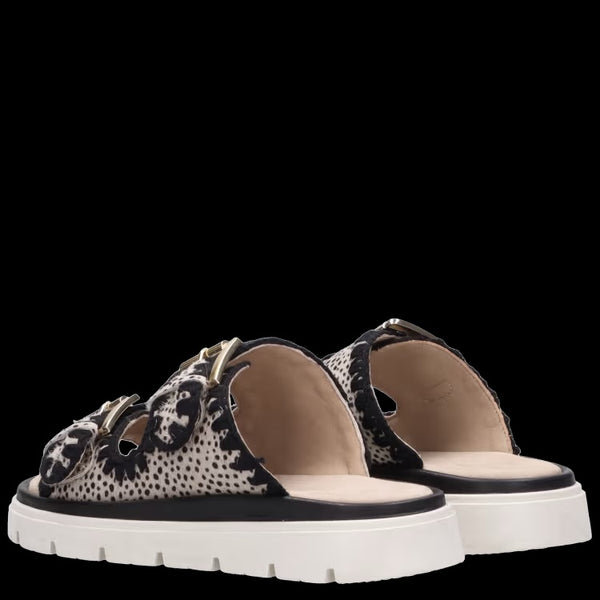 Maruti - Dilann Sandal - Heron