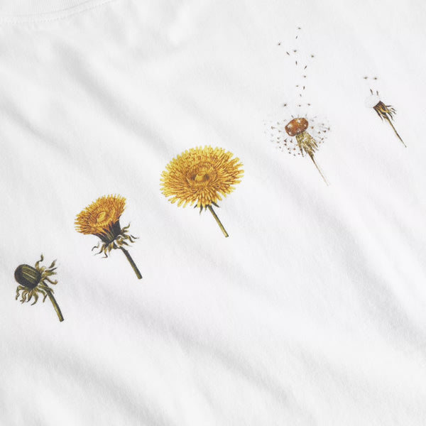Dedicated - Visby Dandelion Cycles Tee - White