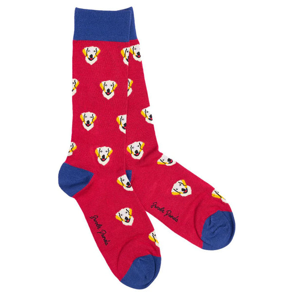 Swole Panda Retriever Socks - Red