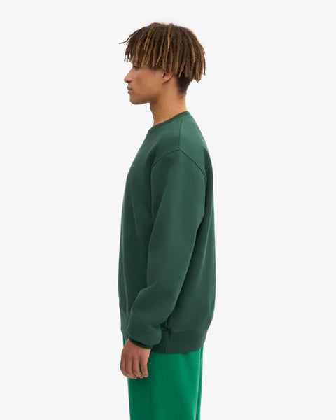 Colorful Standard Organic Mens Sweatshirt - Emerald Green