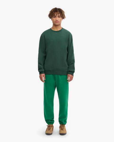 Colorful Standard Organic Mens Sweatshirt - Emerald Green