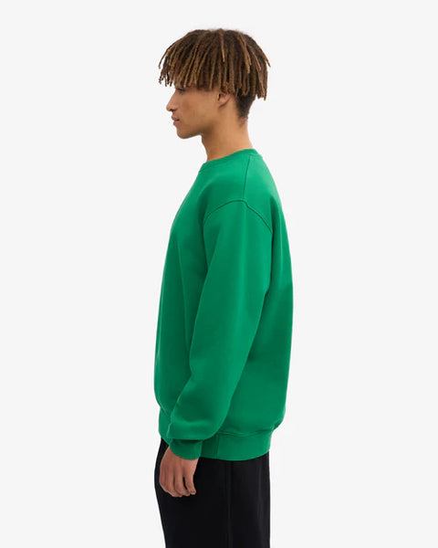 Colorful Standard Sweatshirt - Kelly Green