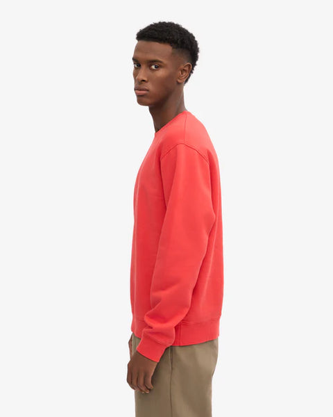 Colorful Standard Sweatshirt - Red Tangerine