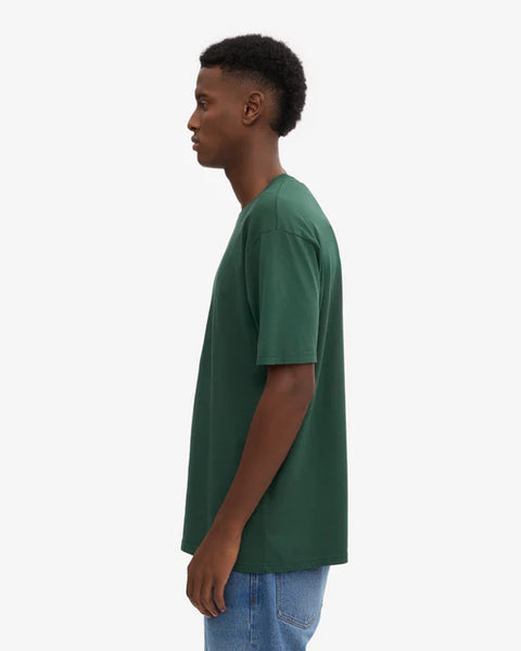 Colorful Standard  Organic Cotton Tee - Emerald Green