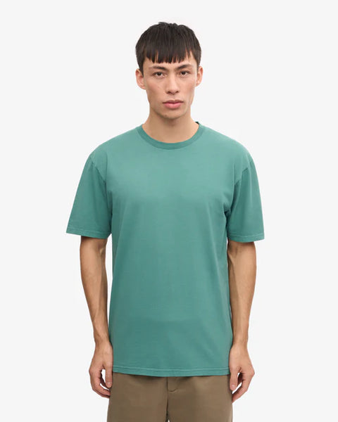 Colorful Standard Classic Organic Tee - Pine Green
