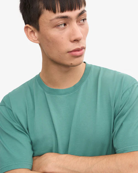 Colorful Standard Classic Organic Tee - Pine Green
