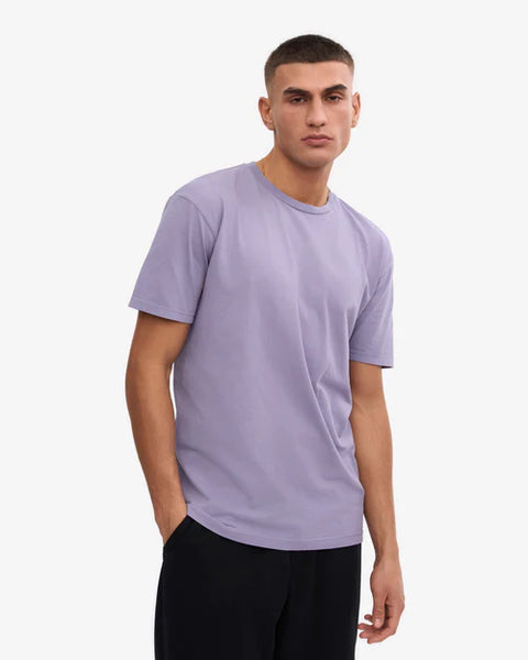Colorful Standard Tee - Purple Jade