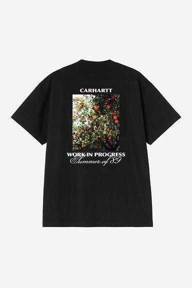 Carhartt WIP Warm Views Tee - Black
