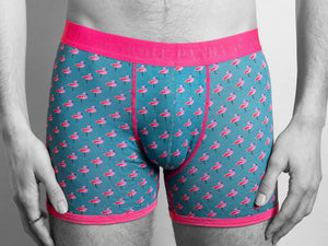 Swole Panda Bamboo Boxers - Flamingos