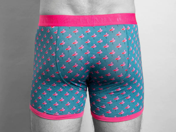 Swole Panda Bamboo Boxers - Flamingos