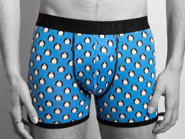 Swole Panda Bamboo Boxers - Penguins